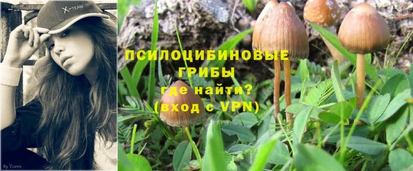трава Беломорск